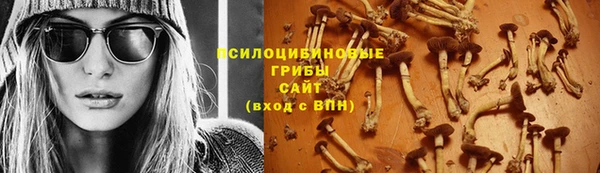 соль курить ск Алзамай