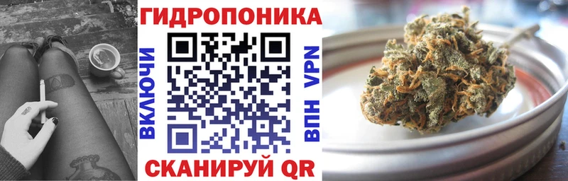 Канабис ГИДРОПОН  закладки  ссылка на мегу сайт  Лодейное Поле 